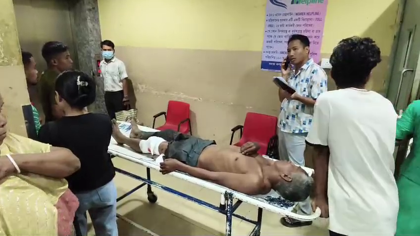  ক্ষেতে কাজ করতে গিয়ে ভালুকের আক্রমণে গুরুতর আহত এক কৃষক 